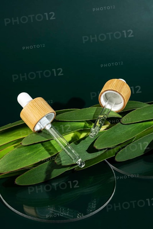 Transparent micellar water for facial care, presented in a stylish pipette bottle, rests atop vibrant green leaves against a dark green background showcasing natural beauty and skincare routine