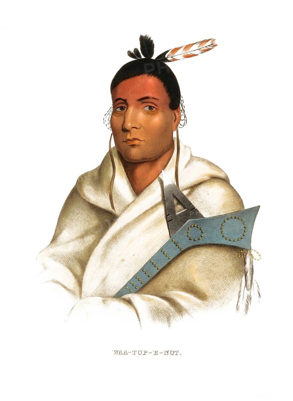 American Indian, Native American, Waa-Top-E-Not, Chief of the Sioux Tribe, United States of America, USA, Painting by Charles Bird King (1785, 1862), c. 1840, Historic, digitally restored reproduction from a 19th century original, Record date not stated
