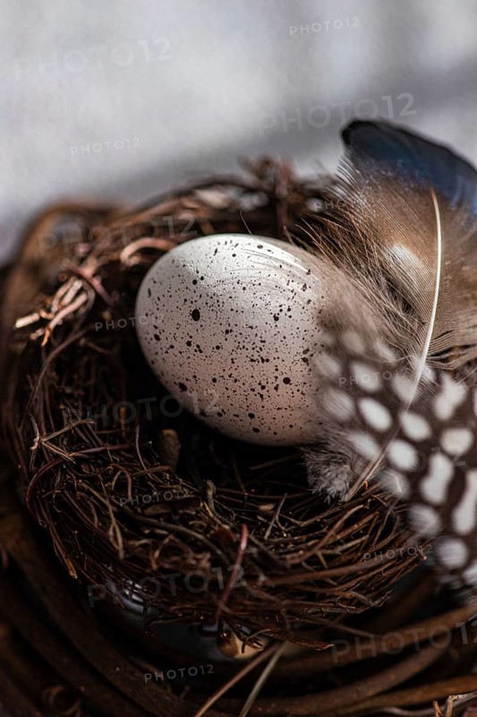 A detailed view of an Easter egg delicately spotted and nestled in a rustic nest, surrounded by natural fibers and feathers, evoking a warm, holiday ambiance
