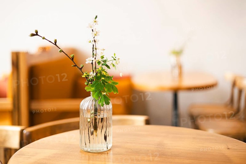 A delicate branch of blossoms in a vase graces a wooden table, creating a cozy and inviting cafe atmosphere with warm tones and soft lighting in the background