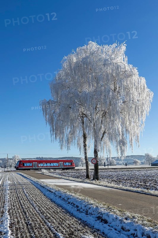 A red train passes a snow-covered tree under a clear sky, hoarfrost in Unterallgäu, Bavaria, Germany