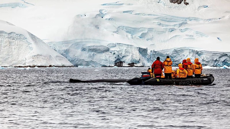 A group in bright jackets travelling on a rubber dinghy through an icy landscape, tourists whale watching in the Antarctic