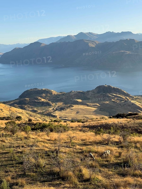 Hiking trail to Roys Peak Lookout, Lake Wanaka, Wanaka, South Island, New Zealand, Oceania