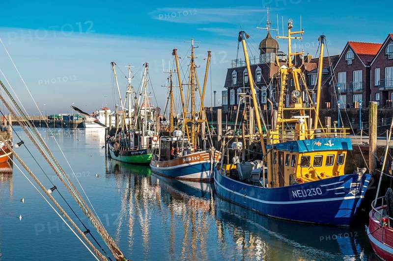The port of Neuharlingersiel, East Frisia, Lower Saxony, fishing boats, fishing trawler, East Frisia, Lower Saxony, Federal Republic of Germany