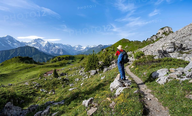 Young man photographed, hiking trail on the Schynige Platte, picturesque mountain landscape, mountain panorama with peaks Eiger, Mönch and Jungfrau, Bernese Alps, Bernese Oberland, Switzerland