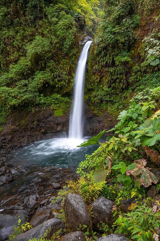 La Paz waterfall, waterfall in dense green vegetation, long exposure, Alajuela province, Costa Rica