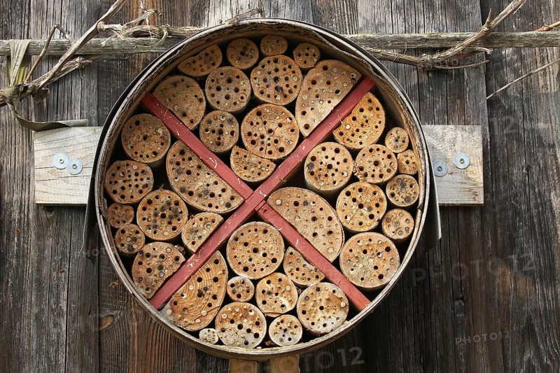 Insect hotel or insect house, nesting aid for a wide variety of insects, self-made, sealed tubes clearly visible, Lower Austria, Austria