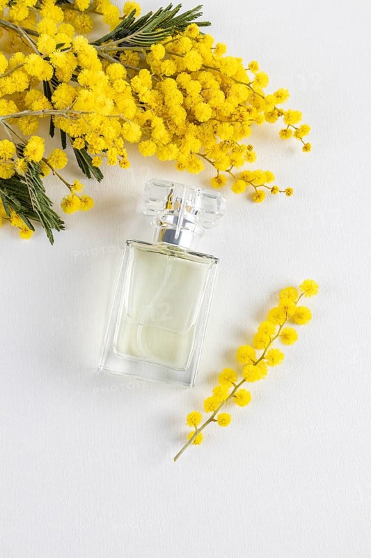 Clear perfume bottle gracefully surrounded by vibrant yellow mimosa flowers on a soft white background, capturing a sense of freshness and elegance