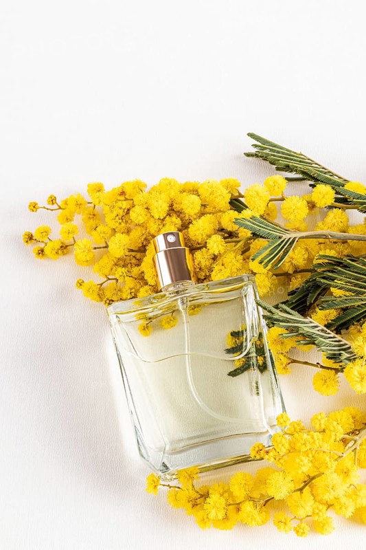 A transparent perfume bottle, elegantly surrounded by vibrant yellow mimosa flowers on a white background, symbolizing fragrance, freshness, and style