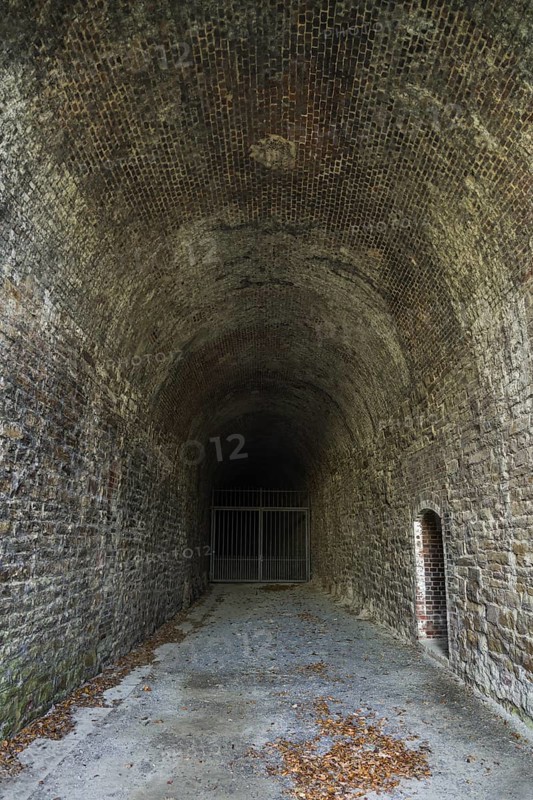 Portal of the pedestrian and cyclist tunnel Deiseler Tunnel, Trendelburg-Tunnel or Carlsbahn-Tunnel, Diemelradweg, Diemel bicycle lane, Hessian Fernradweg R4, near Deisel, Weser Uplands, Weserbergland, Hesse, Germany