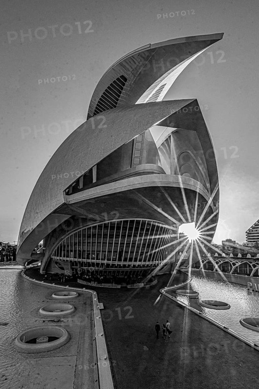Palau de les Arts, Cuitat de les Arts i les Ciences, sunset, modern architecture, black and white photo, Valencia, Spain