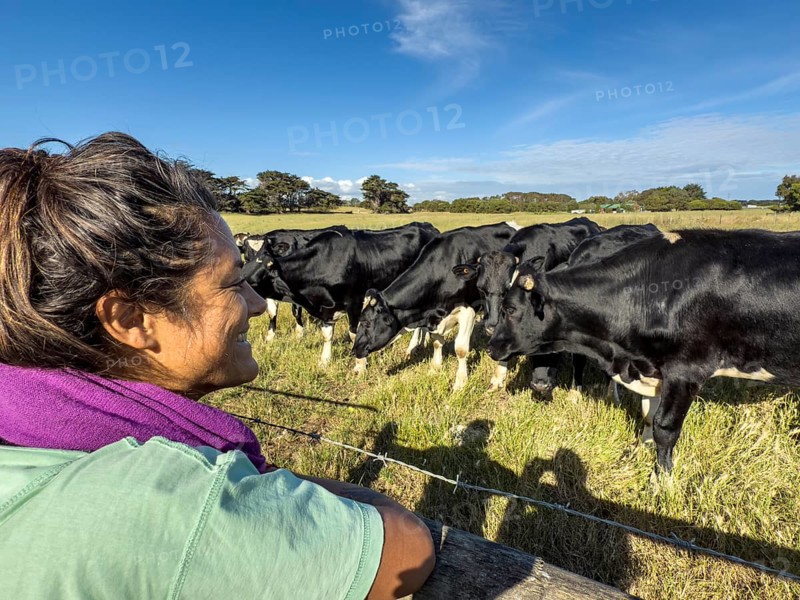 A woman leans on a fence, enjoying the view of cows grazing in a lush green pasture in Victoria, Australia. The clear blue sky and distant trees create a tranquil rural scene