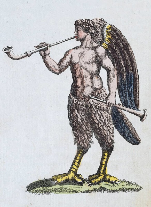 Siren, mythical creature, hand-coloured copperplate engraving from Friedrich Justin Bertuch's picture book for children, Vienna 1801