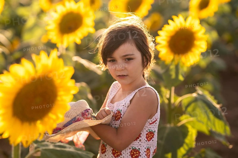 A young girl stands amidst a vibrant sunflower field, holding a sunhat. The golden sunlight illuminates the scene, capturing a moment of childhood wonder and nature beauty