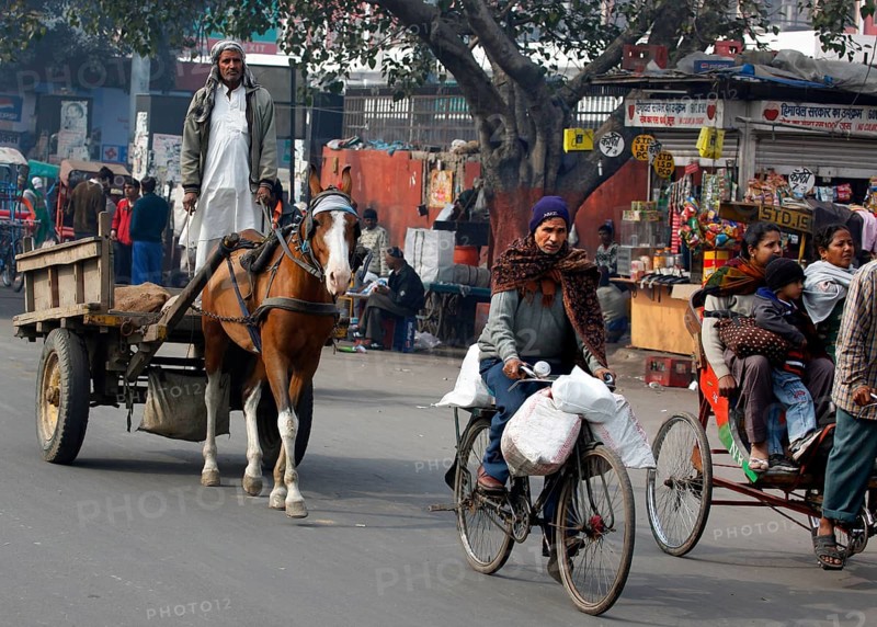 Neu Dehli, India, 15.01.10 - Horse-drawn carts, cyclists, rickshaws on a street in Neu-Dehli, India