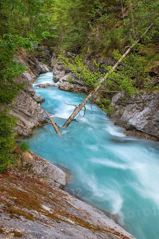 Rissbach stream in spring, Rissbach gorge near Hinterriss, Hinterriss, Bavaria, Germany