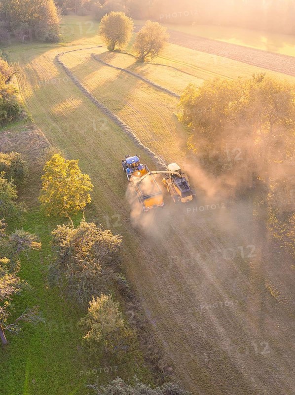 Two vehicles in a field raising dust at sunset and trees in the background, Haselstaller Hof, Gechingen, Black Forest, Germany