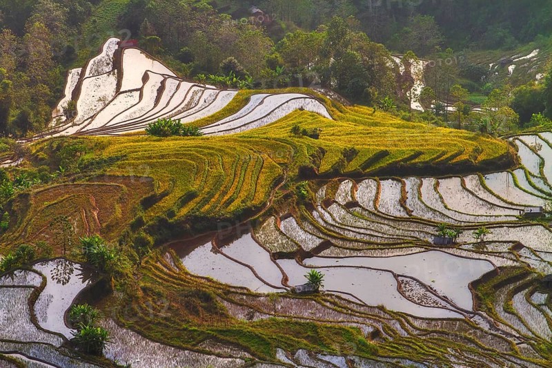 Celestial Stairs — The Yuanyang Rice Terraces in Yunnan, China, carved by the Hani people over 1, 300?years, form a UNESCO-listed landscape covering about 16, 603?hectares (166?km²), stretching from roughly 140?m to 2, 940?m in elevation, with over 3, 000 terraced steps in the main scenic areas, where water, light, and tradition exist in perfect harmony between humans and nature