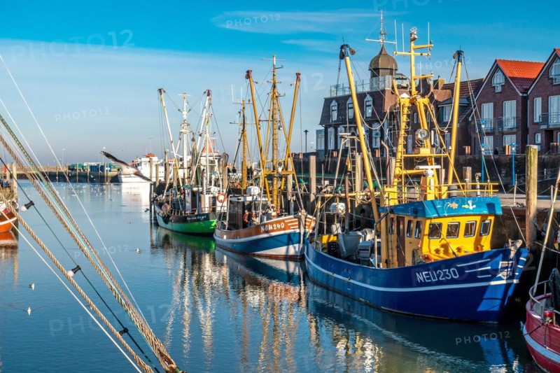 The harbour of Neuharlingersiel, East Frisia, Lower Saxony, fishing boats, fishing cutter, monument, Neuharlingersiel, Lower Saxony, Federal Republic of Germany