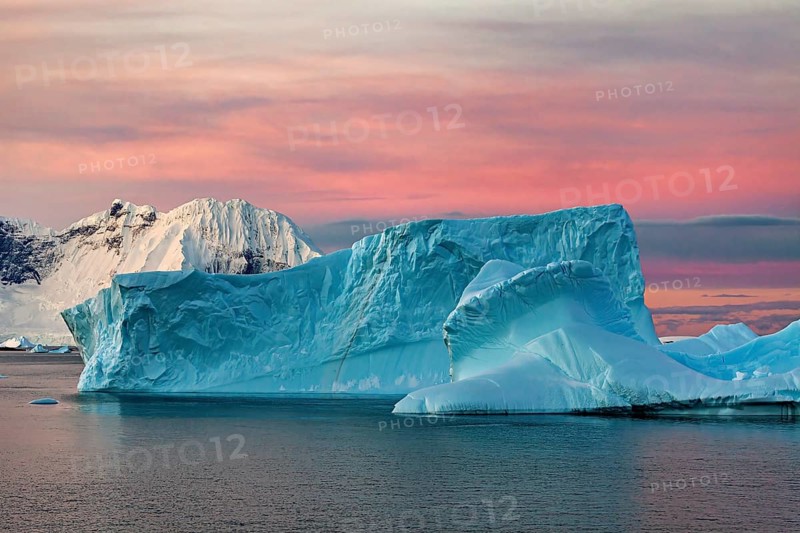 Icebergs in the sea during a dramatic pink sunset, icebergs in the Southern Ocean in Antarctica