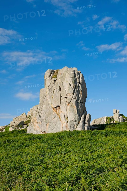 Striking boulders surrounded by ferns on the Pink Granite Coast in Brittany, France