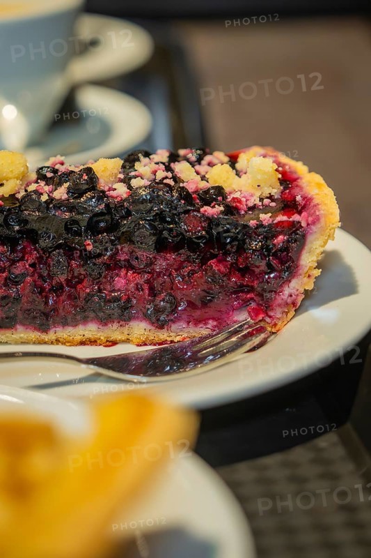 Close-up of a berry cake with creamy filling, served on a plate, autumn creations, Cafe Kuh, Deckenpfronn, Black Forest, Germany