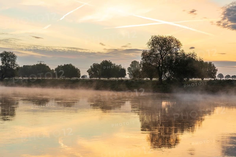 Morning with fog on the Elbe at sunrise, Radebeul, Saxony, Germany