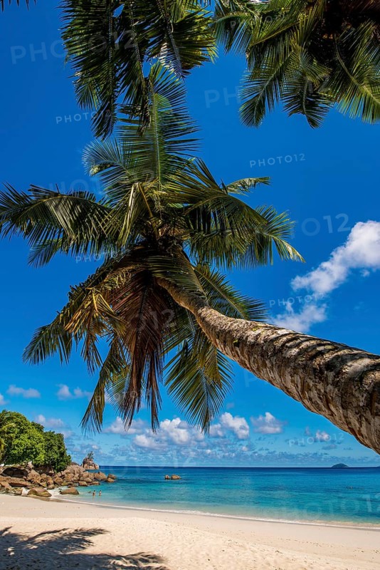 Anse Soleil beach, Mahe, Republic of Seychelles, Indian Ocean