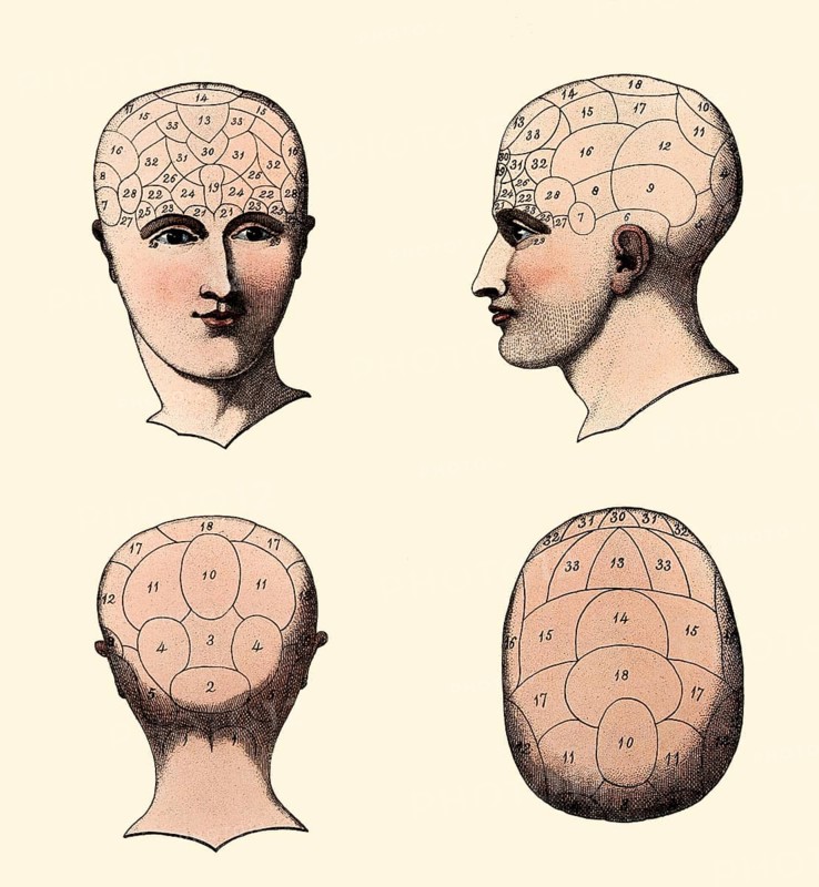 Phrenological Chart, head with mental and moral faculties, 19th century