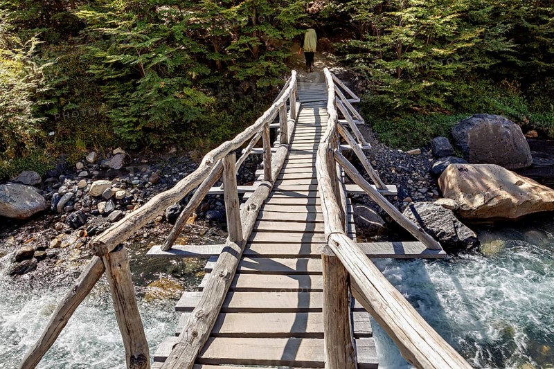 Wooden bridge crosses a river, surrounded by dense forest, inviting for hikers, bridge over a whitewater mountain stream in Torres del Paine National Park in Chile