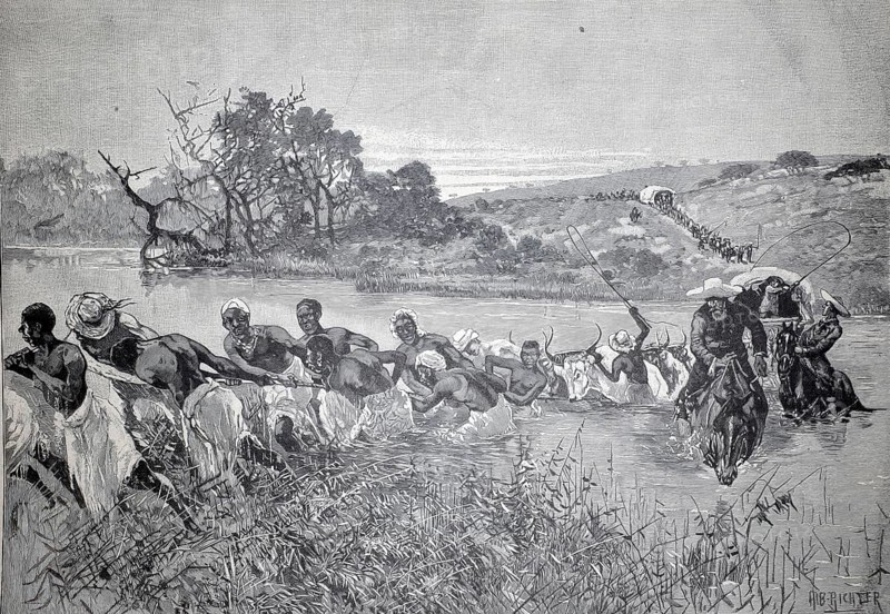 A river crossing in South Africa, 1890, people pull a wagon through a fort, others drive the cows. A long series of the trek has jammed up, illustration, reproduction from a 19th-century model. Authentic, file restored for optimal use, exact date of submission unknown, Historical, a group of people and animals crossing a river in a natural setting