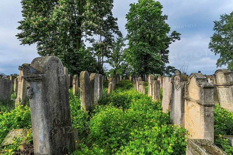 Jewish cemetery, Czernowicz, Bukovina, Ukraine