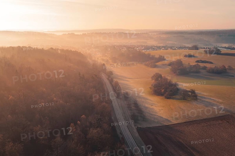 A tree-lined road through fields at dawn, Gechingen, Calw County, Germany