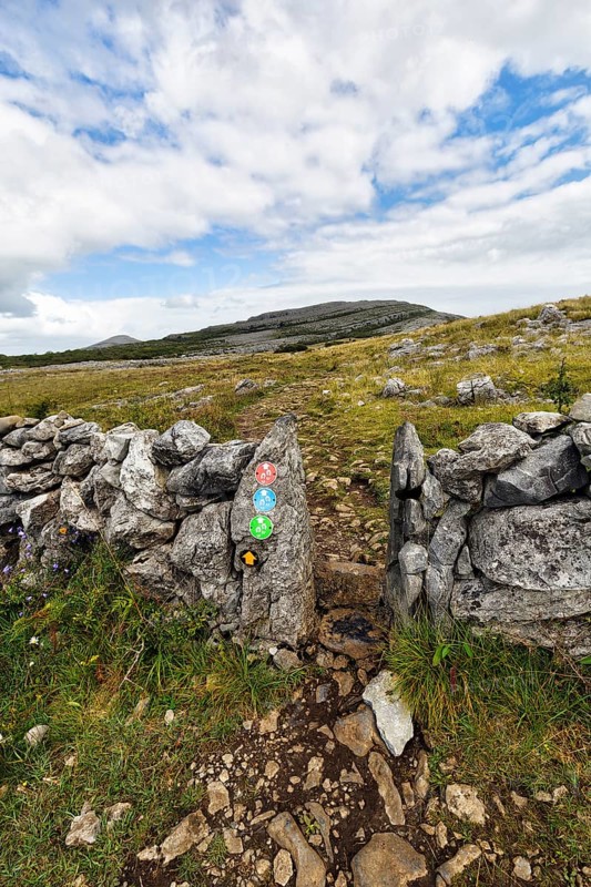 Hiking trail with markings, leads through stone wall, boundary, karst landscape, Burren National Park, County Clare, Ireland
