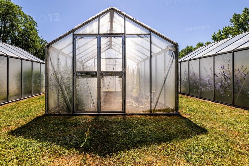 Mini greenhouses at the Leibniz Institute of Plant Genetics and Crop Plant Research IPK Gatersleben, Seeland, Saxony-Anhalt, Germany