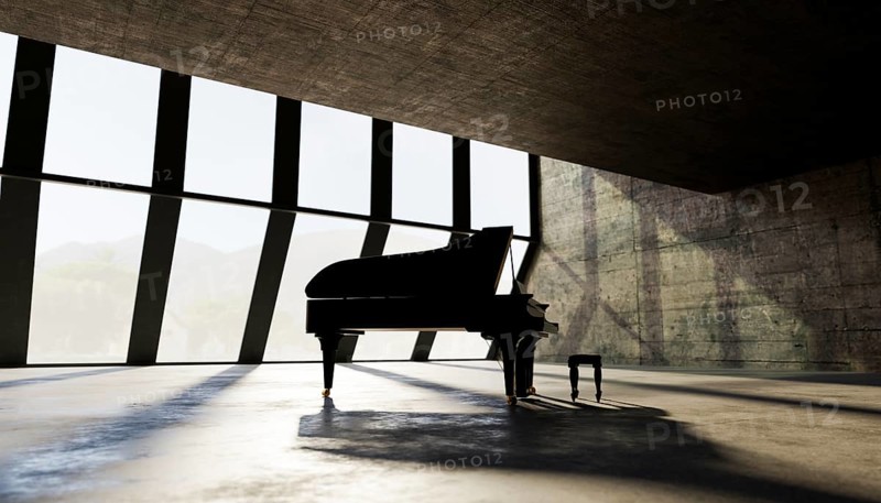 A grand piano stands in a empty spacious, sunlit room with large windows. The sleek, modern interior design creates a minimalist atmosphere with soft shadows