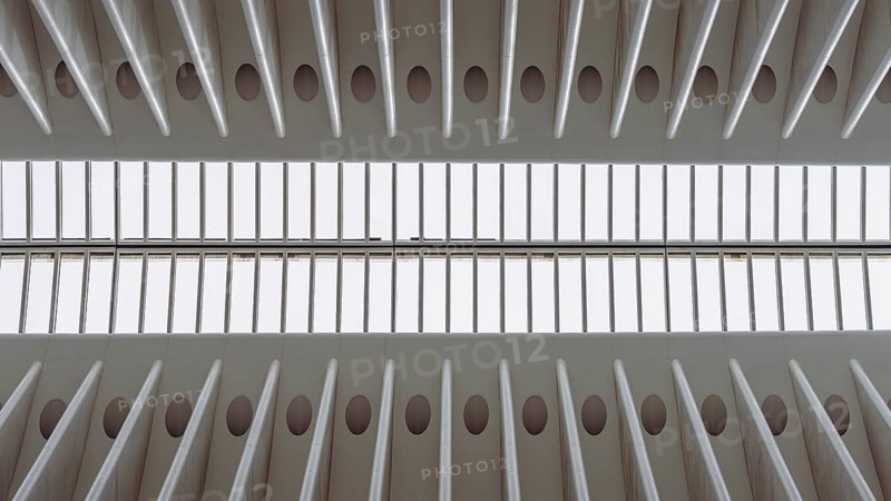 Oculus building, World Trade Center Transportation Hub, New York, USA
