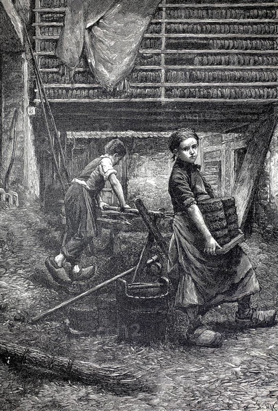 Preparation of press stone, child labor in the production of fuel briquettes, a girl in the foreground carries a board of freshly formed briquettes while a boy works on a press or device in the background. In the upper part of the picture there are shelves on which numerous briquettes are piled up to dry, Barr, Alsace, 1880, France, illustration, reproduction from a 19th century model. Authentic, file restored for optimal use, exact date of submission unknown, historical