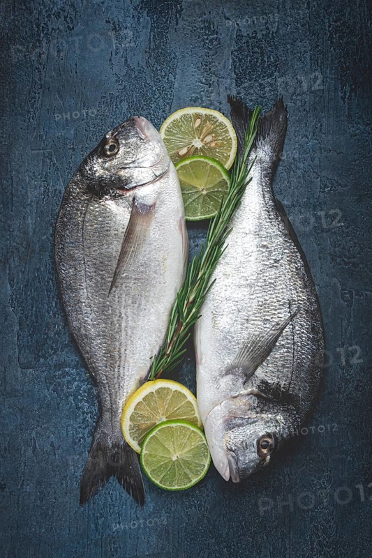 Fresh, raw dorado fish, on a dark blue background, top view, two pieces, no people