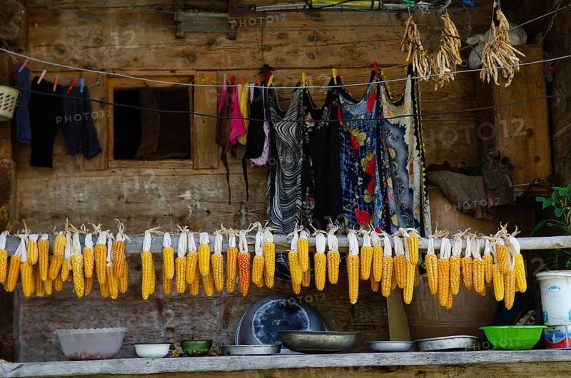 Trabzon, Turkey. 6th September 2014 Sweet corn hanging on the balcony of a traditional Black Sea village home in Turkey