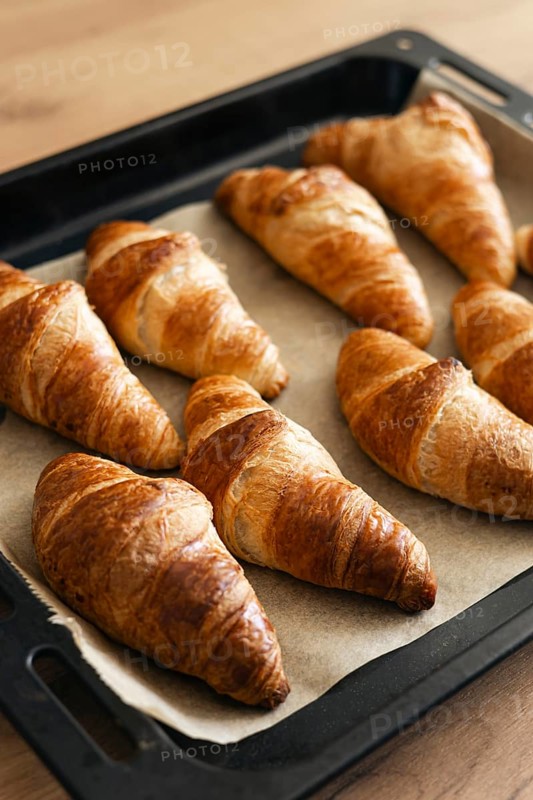 Golden brown homemade croissants freshly baked to perfection, resting on a baking tray. These delicious, flaky pastries are ideal for breakfast or a snack