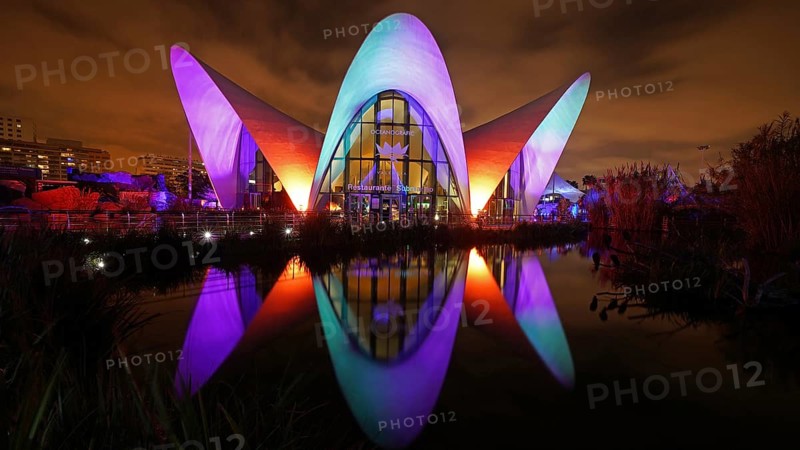 The Oceanum in Valencia, night shot, aquarium complex, Spain, Europe, Valencia, Europe