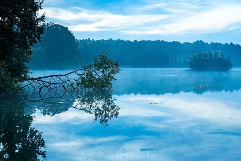 Daybreak with fog at blue hour in the Ahlhorner Fischteiche nature reserve of the Lower Saxony State Forests, Ahlhorn, Lower Saxony, Germany