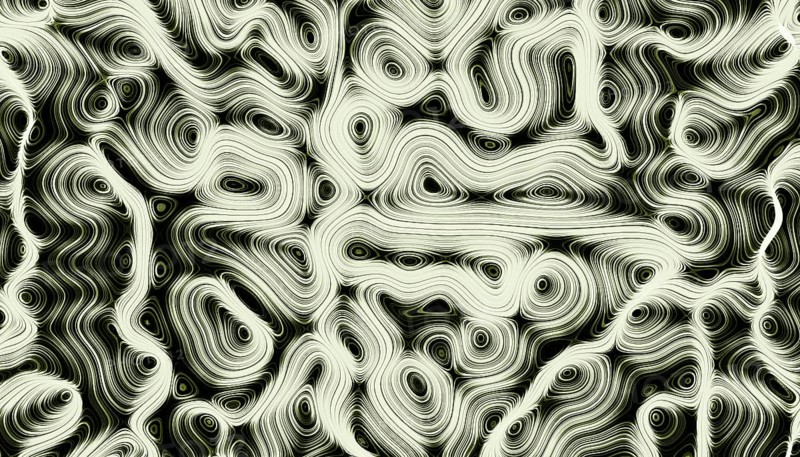 An intricate 3D render featuring a mesmerizing abstract pattern of swirling black and white lines and curves. Ideal for backgrounds or artistic decoration