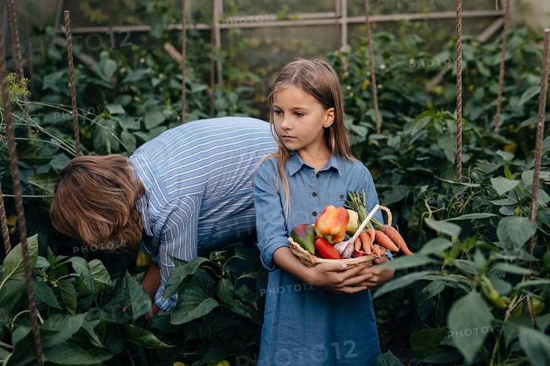 A mother and daughter gather fresh vegetables in a lush greenhouse, showcasing organic farming. The girl holds a basket filled with colorful produce, embodying a rural lifestyle