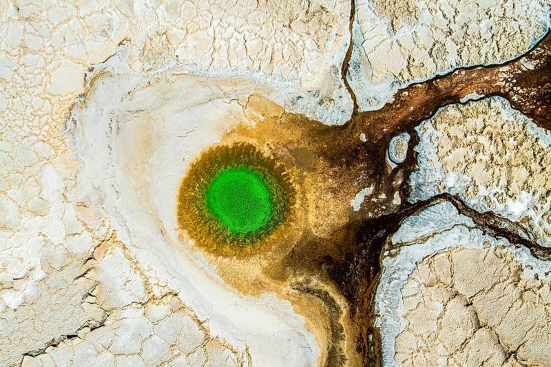 Top view image captures a striking green pond nestled within the textured salt flats of Salar de Antofalla in Catamarca, Argentina in the unique Andean location