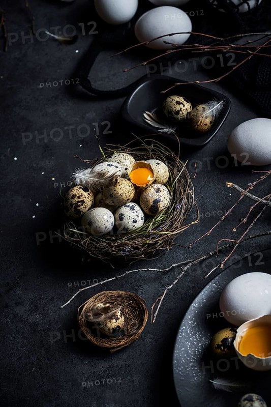 From above composition of raw chicken eggs on plates and quail eggs in nest on black background