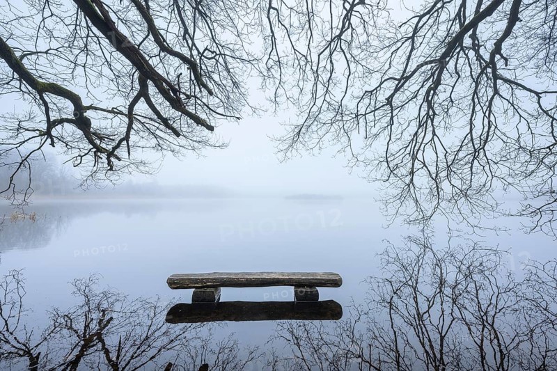 Ahlhorn fish ponds in fog, Ahlhorn, Lower Saxony, Germany