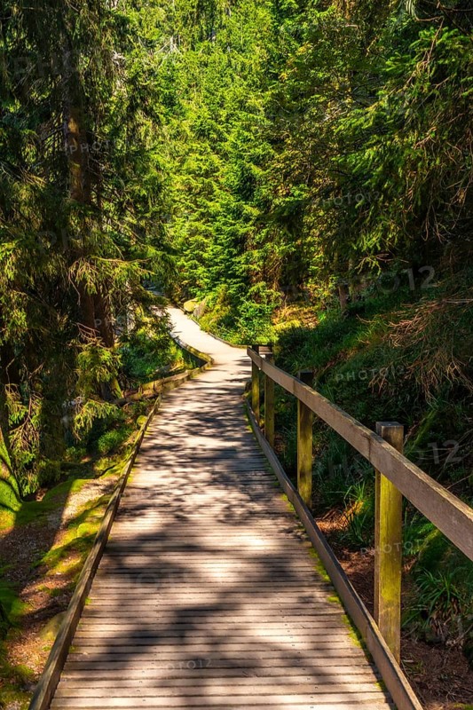 Beautiful wooden walking path at Mummelsee, Black Forest, Germany