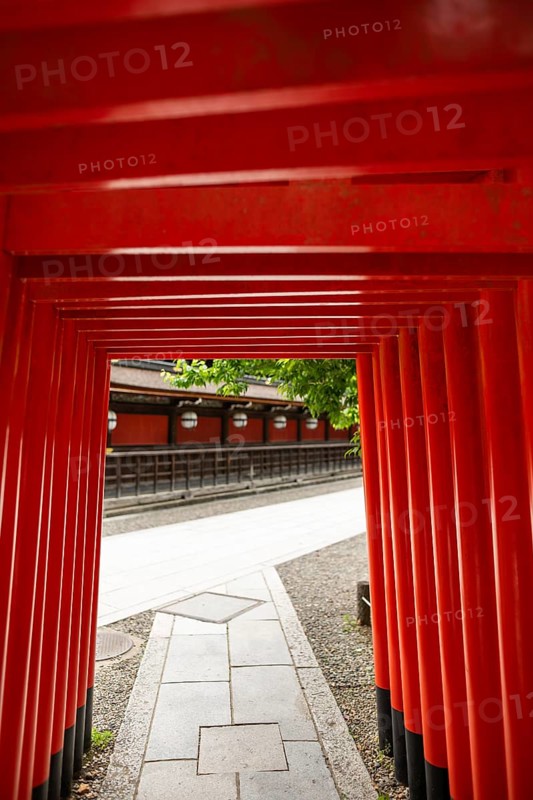 Majestic view through the vibrant red torii passage at Kitano Tenmangu Shrine in Kyoto, Japan, showcasing traditional Japanese architecture and cultural heritage